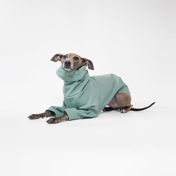 Wasserdichter Hunde-Regenmantel - SAGE WATERPROOF COAT - Maßgefertigter Wintermantel für alle Rassen, Maßgeschneiderter Regenmantel für Hunde, Uk Shop