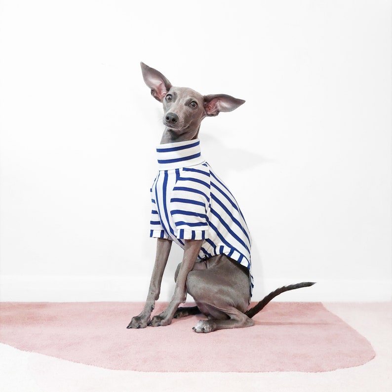 Winter Dog Pyjamas PONZU Made To Measure Ethically Sourced Organic Cotton T-Shirt For Dogs, GOTS certified Dog Jumper, UK Shop image 3