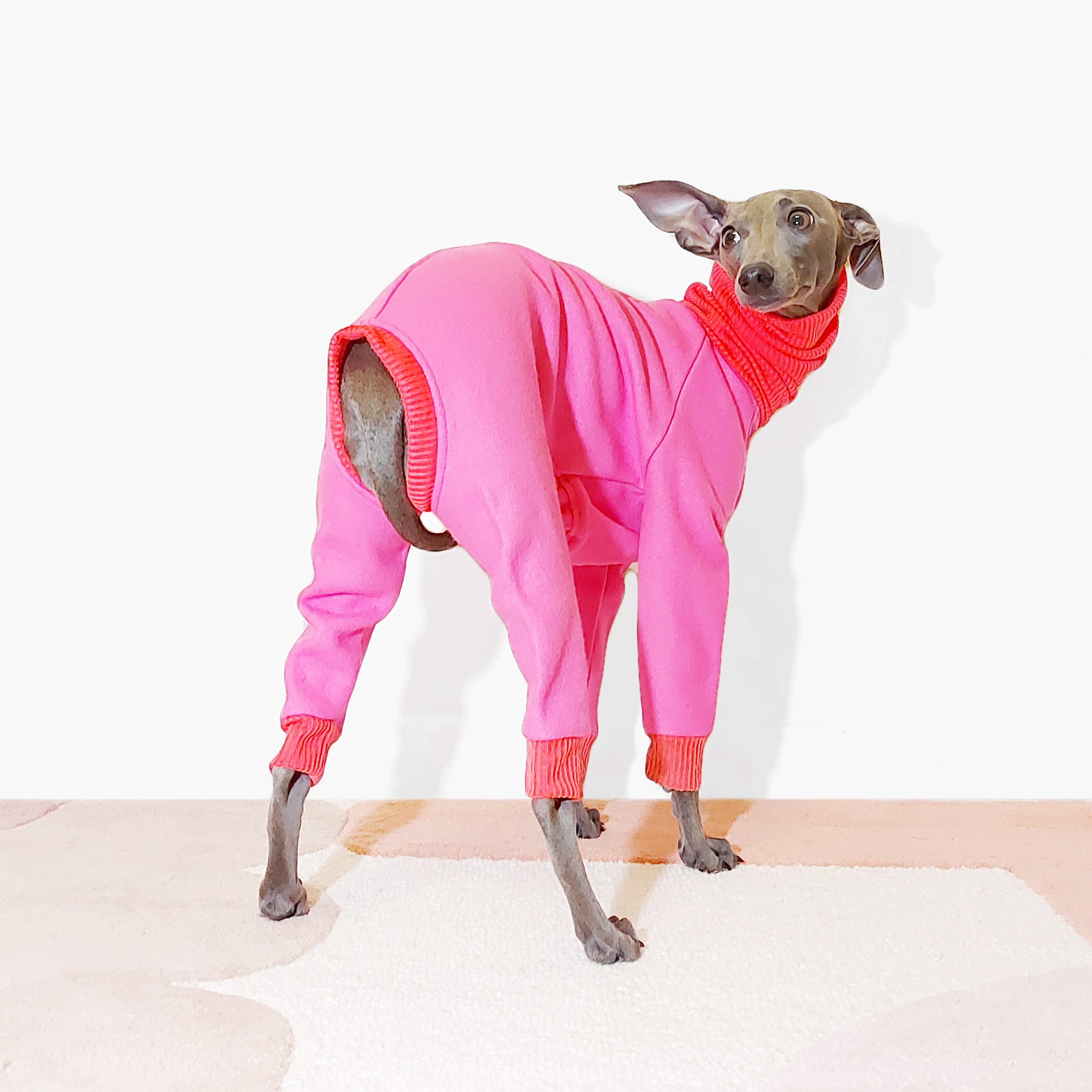 Are Dogs Allowed In Shops Uk