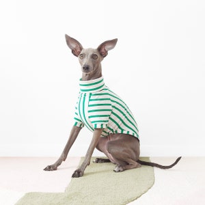 Maßgeschneidertes Hunde-T-Shirt PETIT POIS Nachhaltig hergestellte Hundebekleidung aus Bio-Baumwolle, grünes, maßgeschneidertes Hunde/Windhund-Top, UK-Shop Bild 8