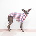 see more listings in the Spring/Summer Dog Wear section