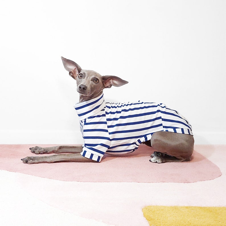 Winter Dog Pyjamas PONZU Made To Measure Ethically Sourced Organic Cotton T-Shirt For Dogs, GOTS certified Dog Jumper, UK Shop image 1