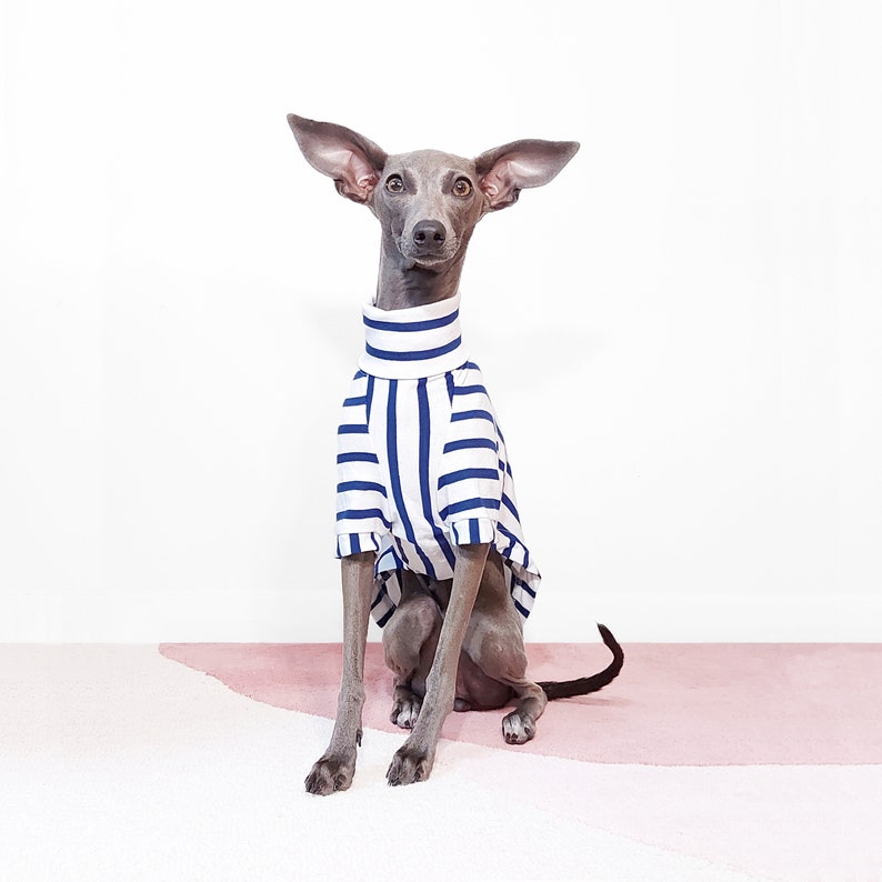 Winter Dog Pyjamas PONZU Made To Measure Ethically Sourced Organic Cotton T-Shirt For Dogs, GOTS certified Dog Jumper, UK Shop image 5