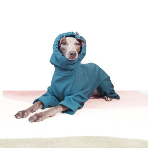 Italian Greyhound Raincoat - TEAL RAINSUIT - Waterproof Iggy Winter Coat, Made to Measure Italian Greyhound & Whippet Clothes, U.K. Shop