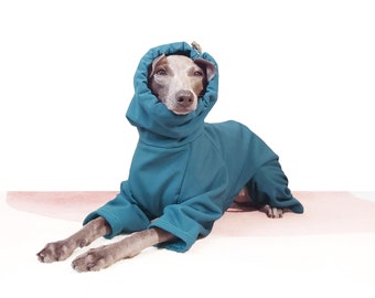 Italian Greyhound Raincoat - TEAL RAINSUIT - Waterproof Iggy Winter Coat, Made to Measure Italian Greyhound & Whippet Clothes, U.K. Shop