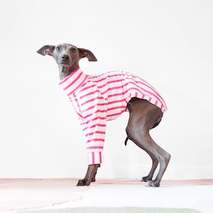 Bespoke Dog Clothes - GUAVA - Organic Cotton Dog Pyjamas, Italian Greyhound Pyjamas, Dog Clothes For Small Dogs, Cotton Milled In The UK