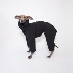 Może przedstawiać: Mały, szary i brązowy włoski charcik w czarnym swetrze z golfem i dopasowanych spodniach. Pies stoi na białym tle.