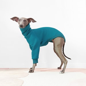 Vêtements pour lévriers - DUKU - Pull pour chien, vêtement chaud pour lévriers et whippets italiens, pull sur mesure pour lévriers, UK Shop