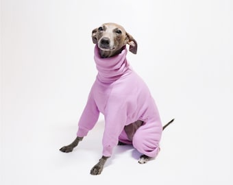 Maßgeschneiderte Hundebekleidung – AKEBI – Maßgeschneiderter Hunde-Einteiler für Windhunde, kleine Rassen, italienische Windhunde und Whippets, U.K. Shop