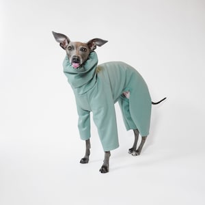 Waterproof Dog Raincoat - SAGE WATERPROOF RAINSUIT - Made to Measure Winter Coat For All Breeds, Bespoke Raincoat For Dogs, Uk Shop