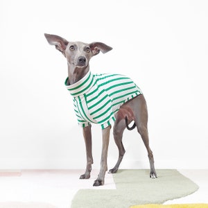 Maßgeschneidertes Hunde-T-Shirt PETIT POIS Nachhaltig hergestellte Hundebekleidung aus Bio-Baumwolle, grünes, maßgeschneidertes Hunde/Windhund-Top, UK-Shop Bild 1