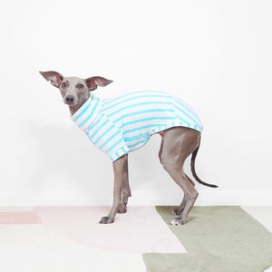Bespoke Whippet T-Shirt - SAGO - Sustainably Made Organic Cotton Dog Clothes, Aqua Blue Italian Greyhound / Sighthound Top. Cotton UK Milled