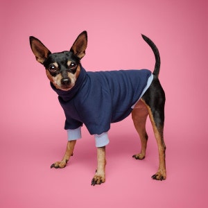 Vêtements pour chiens sur mesure - KINOKO - Pull pour chien, vêtement certifié Oeko Tex pour petites races, pull sur mesure pour votre chiot, boutique britannique