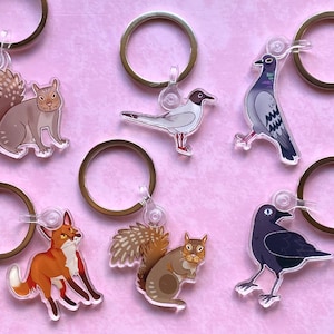Coventry City Centre Wildlife- 6 Cute 1.5&quot; Acrylic Keychains