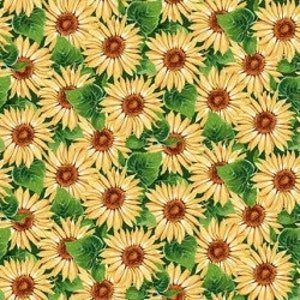 Michael Miller&#39;s &quot;Bee Culture&quot; Quilt Fabric Collection, Sold by the Yard