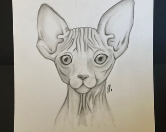 Sphynx Cat Drawing Etsy