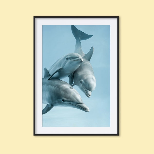 Dolphin Tattoo - Etsy