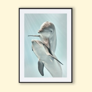 Dolphin Art, Amazing Dolphin, Ocean Art, Dolphin Photography, Dolphin Print, Dolphin Wall Art, Dolphin Tattoo, Dolphin Poster