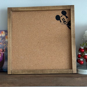 Mickey Mouse Disney Pin Collection Display Board
