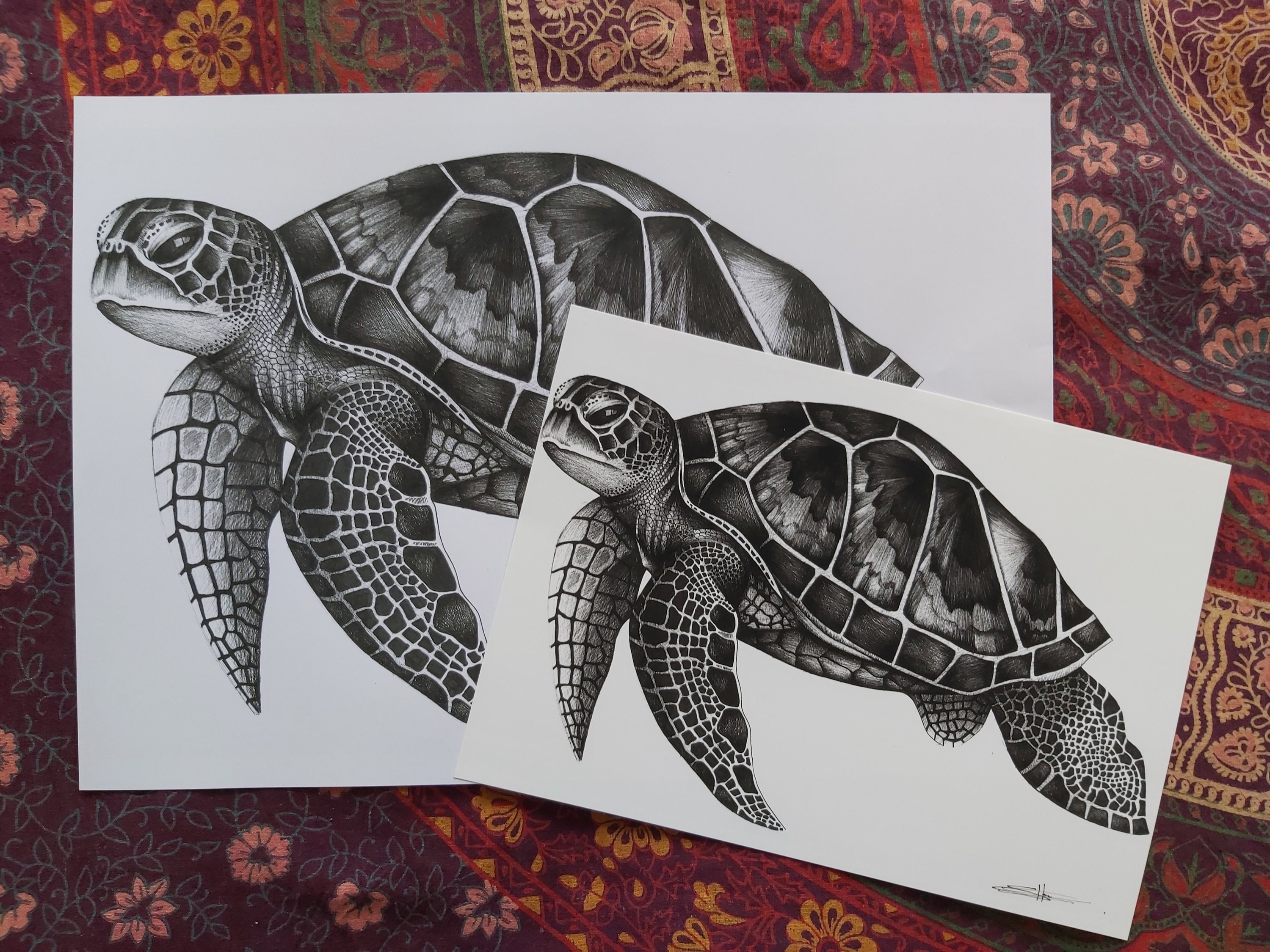 Green Turtle Print | Etsy