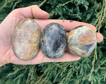 Black Moonstone Palm Stone