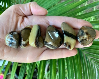 Septarian Tumbled Stone