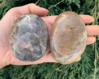 Black Moonstone Palm Stone - Large
