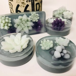 Succulent guest soap