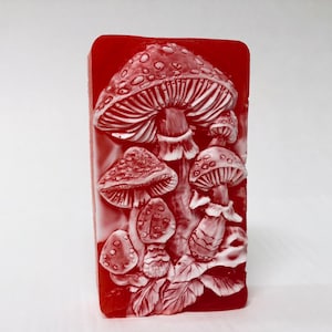 Mushroom soap