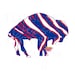 Buffalo Zuba Print | Instant Download | SVG and PNG Files | Bills | NY 