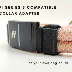 Fi Series 3 collar adapter on a double rope collar