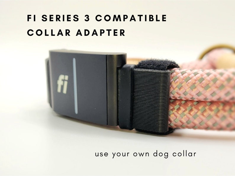 Fi Series 3 collar adapter on a double rope collar