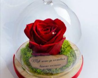 Preserved Red Rose with Green Moss in Glass Dome, Unique Mother's Day Gift, Gift for Wife, Red Forever Rose, Memorable Romantic Gift for Her