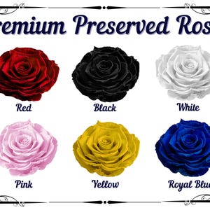 Premium Forever Black Rose, Memorable Birthday Gift, Preserved Black Rose in Big Glass Dome, Personalized Anniversary Gift for Girlfriend image 16