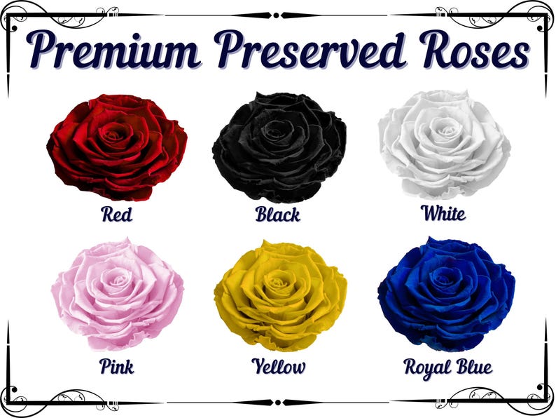 Premium Forever Black Rose, Memorable Birthday Gift, Preserved Black Rose in Big Glass Dome, Personalized Anniversary Gift for Girlfriend image 16