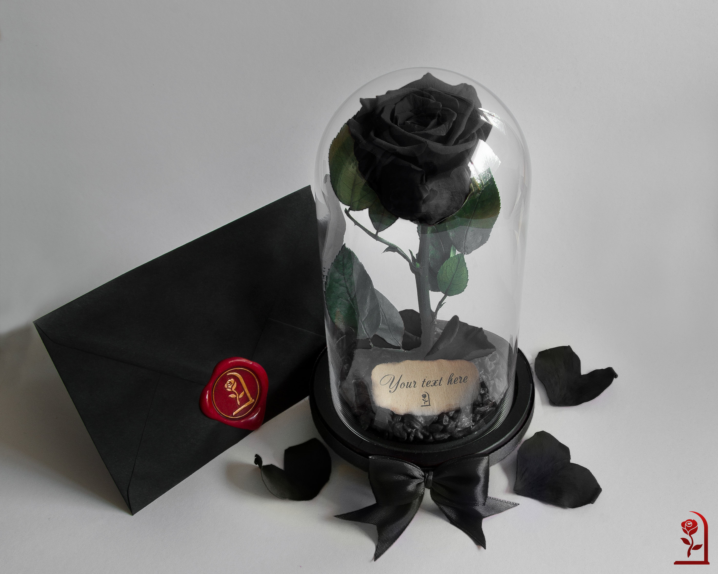rose Noire Préservée