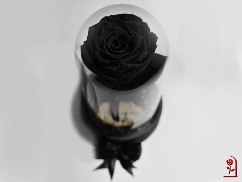 Forever Black Rose Original Birthday Gift Eternal Rose in Etsy