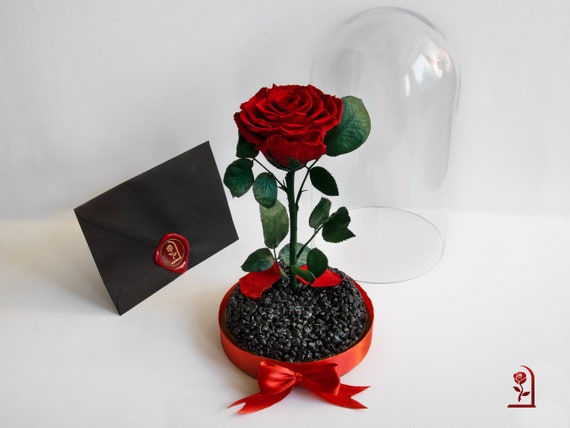 Preserved Flowers Gift for Her, Forever Roses in Glass Dome,Romantic Love  Gifts for Xmas Valentines