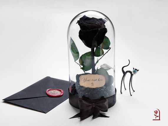 Rosa negra preservada en cúpula de vidrio regalo de - Etsy España