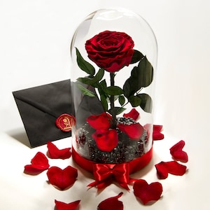 Unique Birthday Gift for Woman, Beauty and The Beast Enchanted Rose in Glass Dome, Personalized Gift for Girlfriend or Wife, Gift for Mom