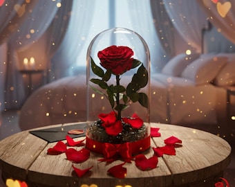 Red Enchanted Rose in Glass Dome, Perfect Birthday Gift for Wife, Real Preserved Forever Rose, Personalized Romantic Gift for Her, Red Rose
