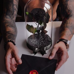 Preserved Flowers