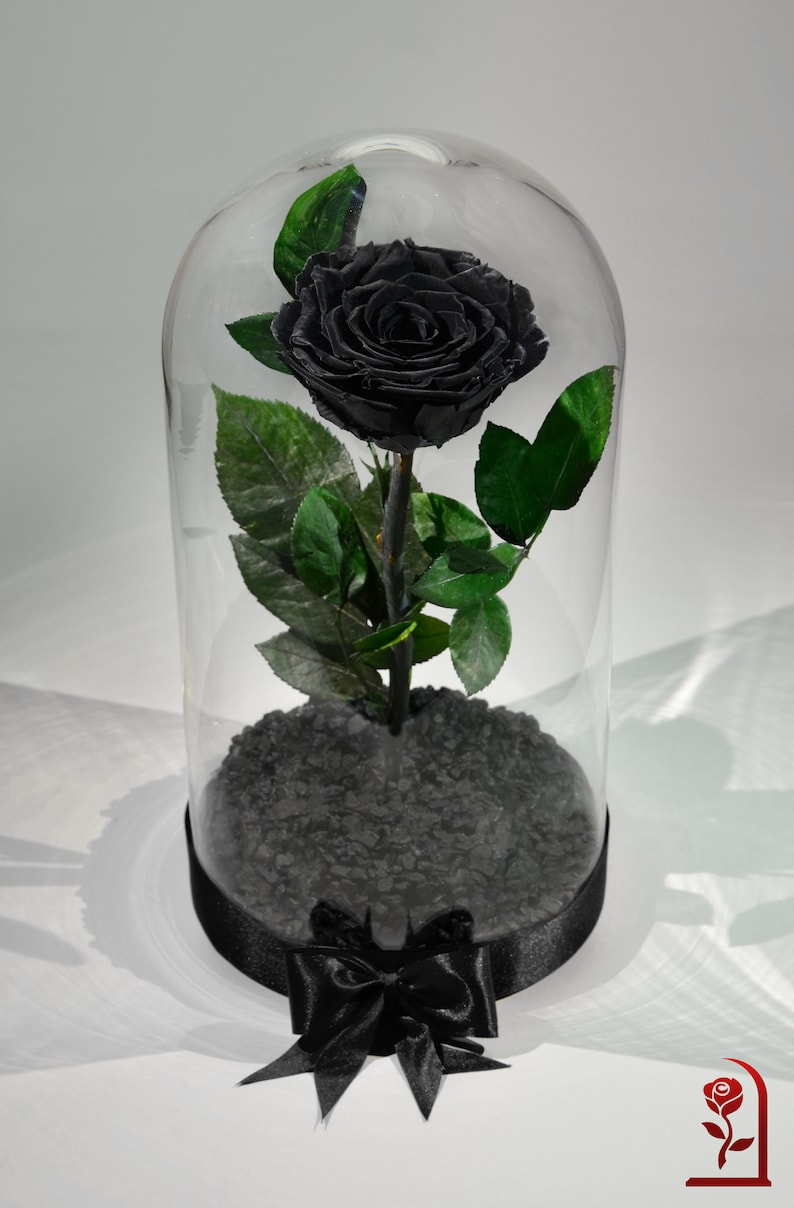 Black Rose Flower