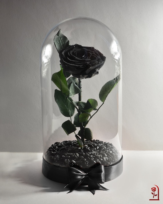 Premium Black Rose, Memorable Gift for Wife, Preserved Black Rose in Big  Glass Dome, Personalized Gift for Girlfriend, Unique Birthday Gift 