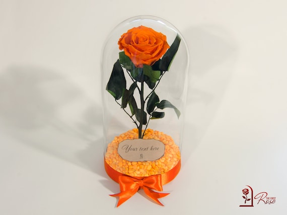 💎 Rhodolite Orange-Rose De Madagascar - 2,13 Carats - Pierre Précieuse Naturelle (non Traitée) - P226.135T
