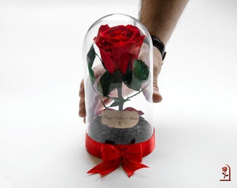 Red Eternal Rose in Glass Dome, Romantic Valentine's Day Gift for Her, Enchanted Red Rose, Memorable Gift for Girlfriend for Any Occasion