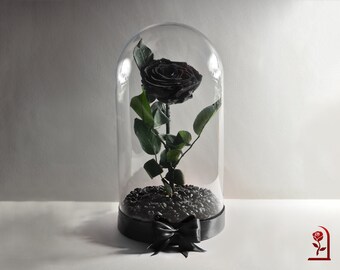 Lampada LED Con Rosa Nera In Cupola Di Vetro – Base Legno, Per Decorazione Romantica, Blu, Con Luci - 2