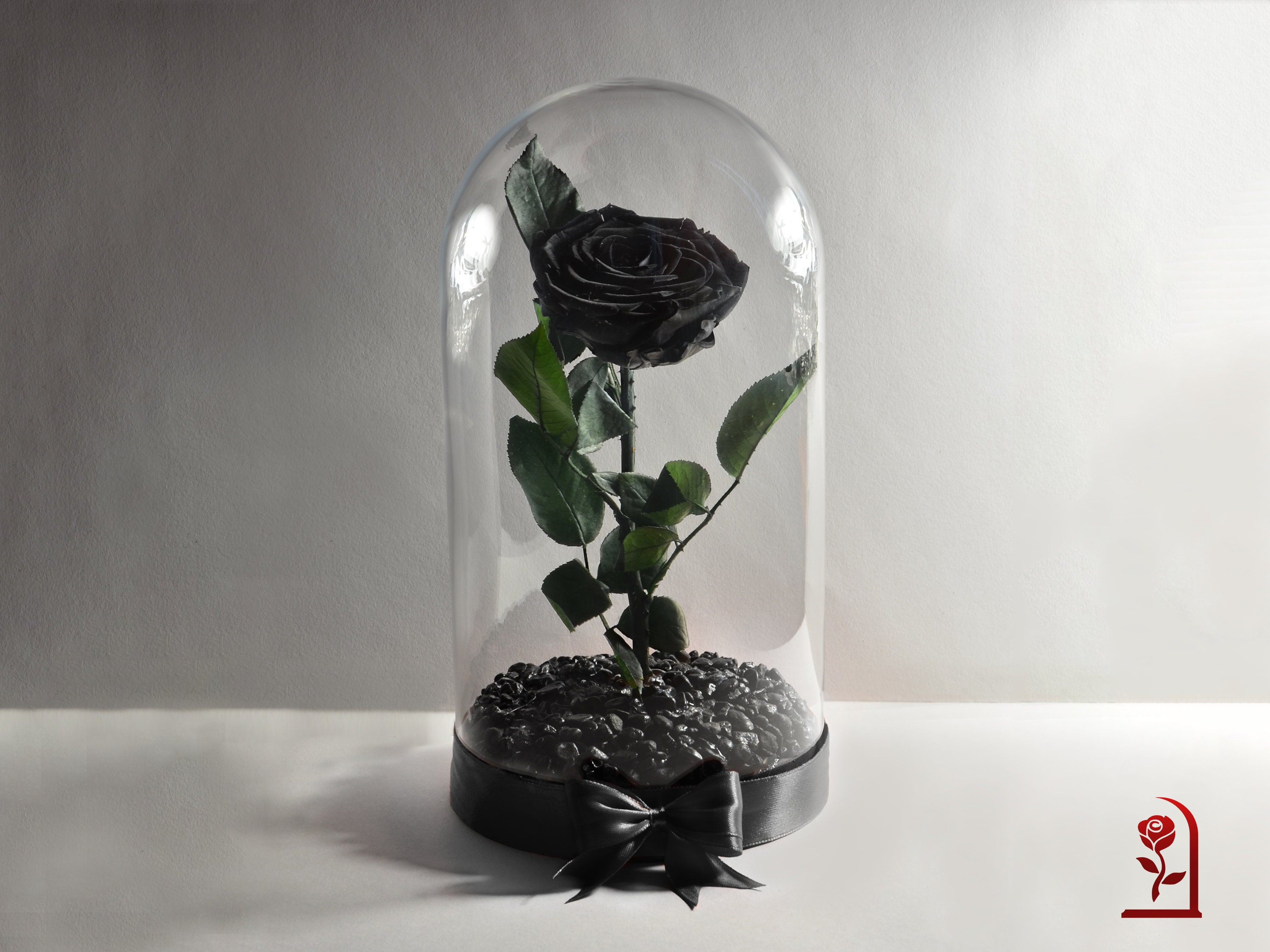rose Noire Préservée