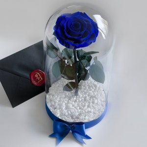 Real Blue Enchanted Rose in Glass Dome, Romantic Valentine’s Day Gift for Her, Memorable Gift for Wife, Girlfriend or Mom, Preserved Rose