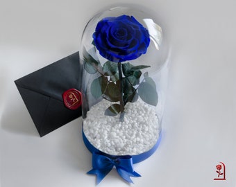 Preserved Blue Rose, Memorable Gift for Mom, 100% Real Forever Rose in Dome, Birthday Gift for Her, Anniversary Gift for Woman, Eternal Rose